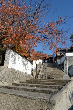観龍寺参道 観龍寺参道