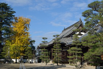 境内 観龍寺境内
