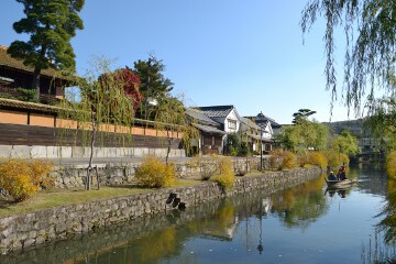 柳並木 倉敷川畔