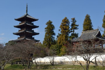五重塔 備中国分寺