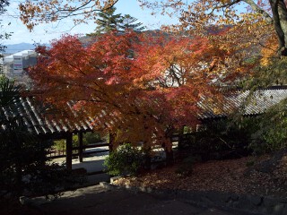 紅葉 吉備津神社