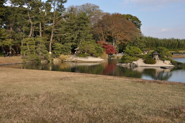 野芝を使った庭 沢の池