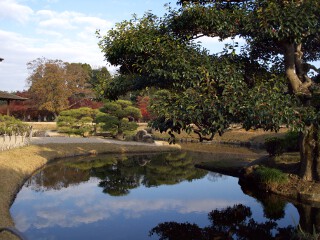流店前の庭 岡山後楽園