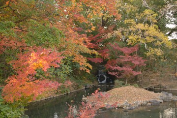見事な紅葉 花交の池