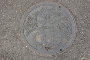 浅口市マンホール サツキ