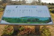 オリーブ園からの景観図 オリーブ園