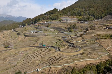 丸山千枚田