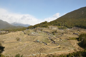 丸山千枚田