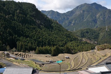 丸山千枚田