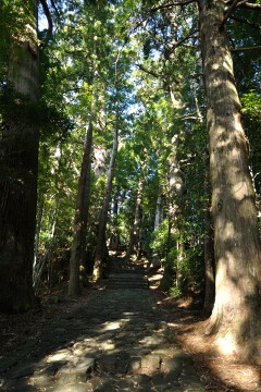 熊野古道
