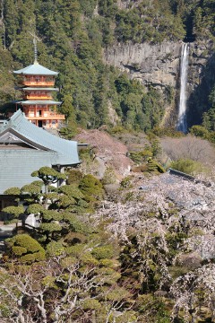 三重塔と那智滝