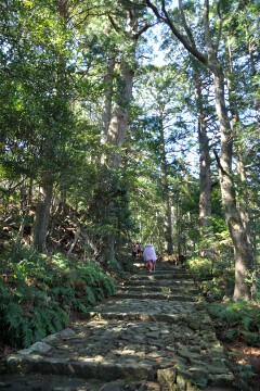 熊野古道