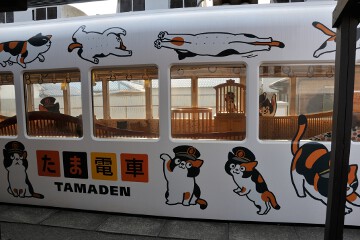 たま電車
