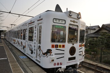 たま電車