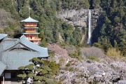 那智滝と青岸渡寺