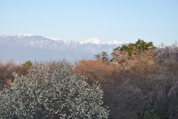 北アルプス連峰 北アルプス連峰