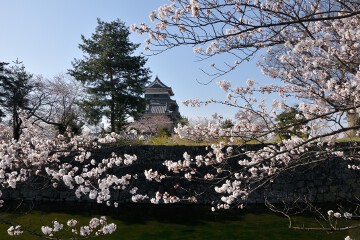 松本城天守閣 松本城