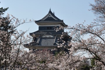 松本城天守閣 松本城