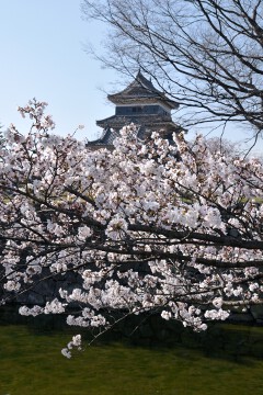 松本城天守閣 松本城