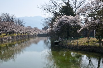 松本城 内堀 松本城 内堀