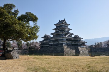 松本城 天守と芝生