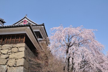 北櫓 上田城跡公園