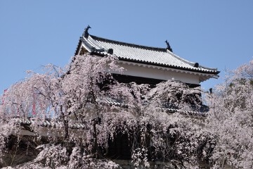 北櫓 上田城跡公園