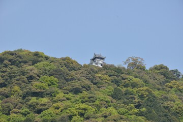 岩国城 岩国城