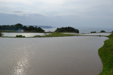 東後畑棚田 東後畑棚田