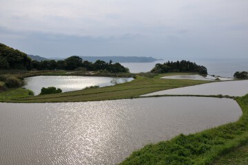 東後畑棚田 東後畑棚田