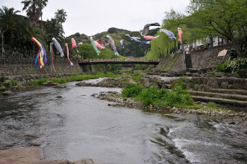鯉のぼり 音信川