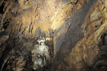 五月雨御殿 五月雨御殿