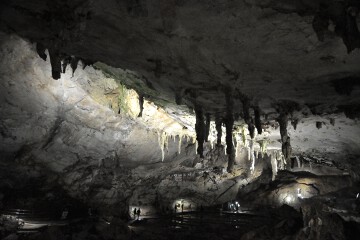 傘づくし 傘づくし