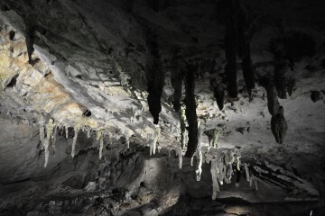 傘づくし 傘づくし