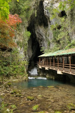 鍾乳洞入口 鍾乳洞入口