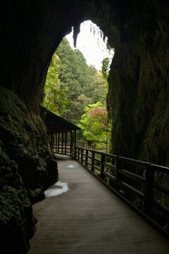 鍾乳洞入口 鍾乳洞入口