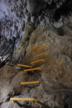 冒険コース 冒険コース