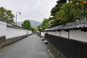 なまこ壁と夏みかん なまこ壁