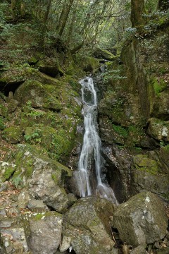 白糸の滝 白糸の滝