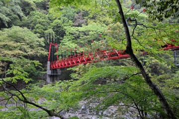 紅葉橋 紅葉橋