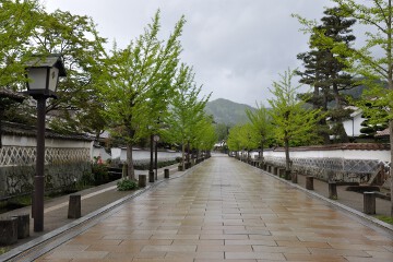 街並み 津和野