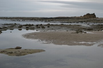 ノジュール ノジュール