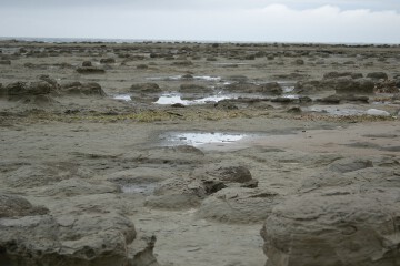 ノジュール ノジュール