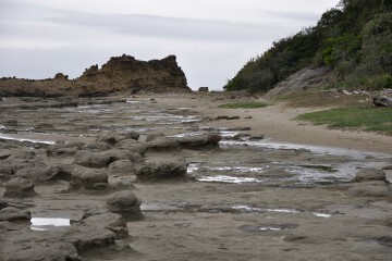 ノジュール ノジュール