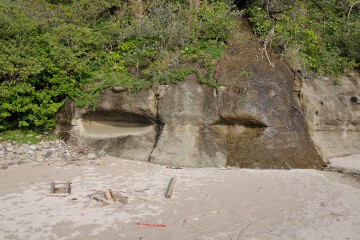 顔 顔のような岩