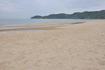 琴ケ浜の鳴り砂 琴ケ浜