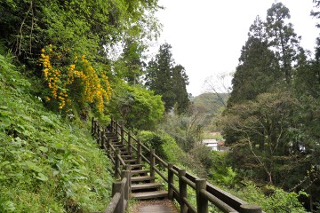 石見銀山 遊歩道 遊歩道