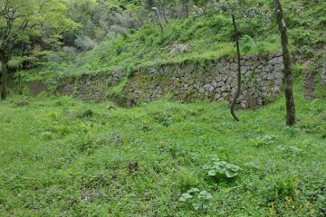選鉱場跡 選鉱場跡