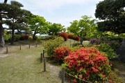 ツツジ 毛利氏庭園