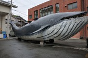 クジラのオブジェ クジラのオブジェ